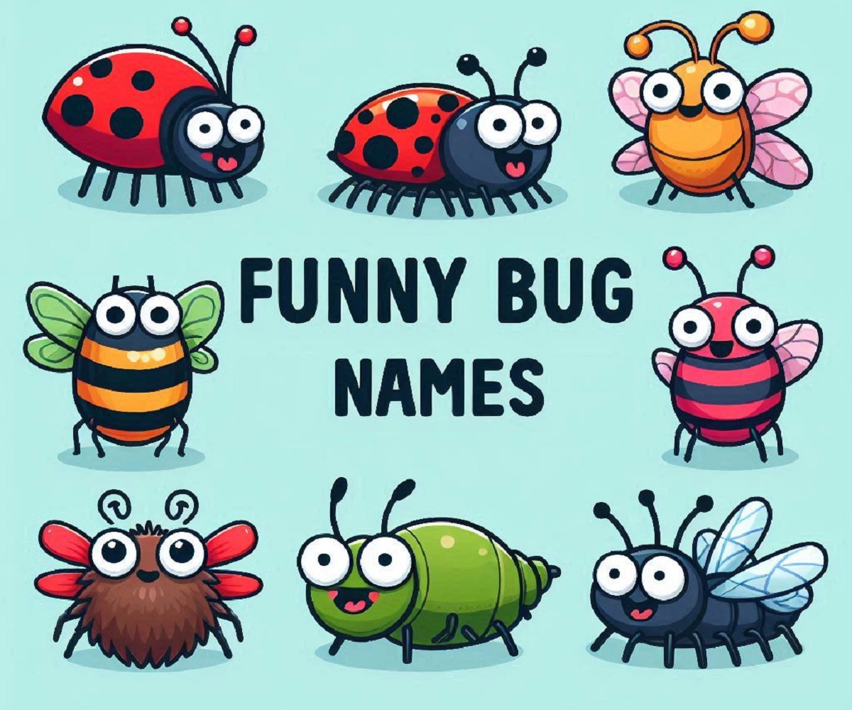 Funny Bug Names Ideas