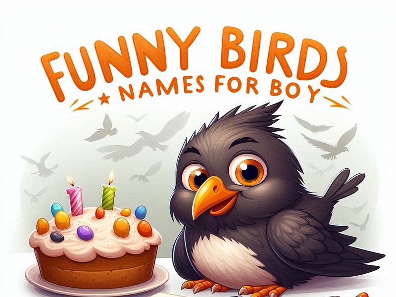 Funny Bird Names For Boys 