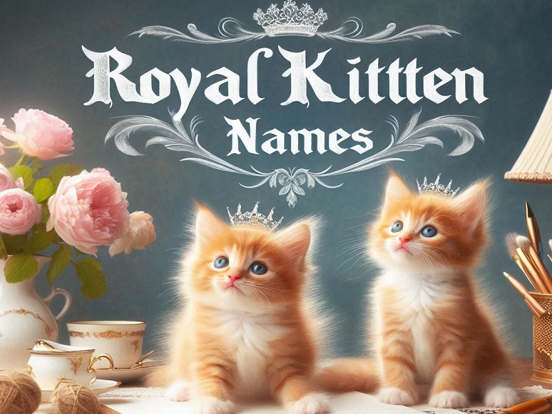 Royal Kitten Names