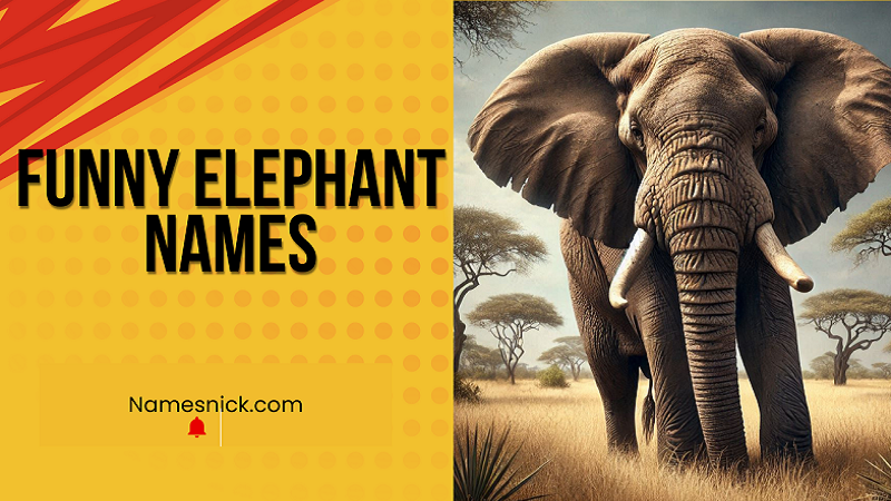 Funny Elephant Names