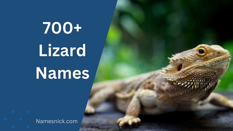 Lizard Names