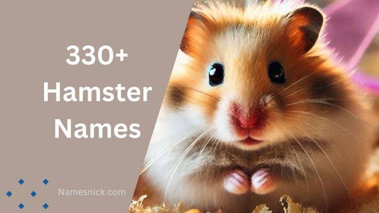 330+ Hamster Names