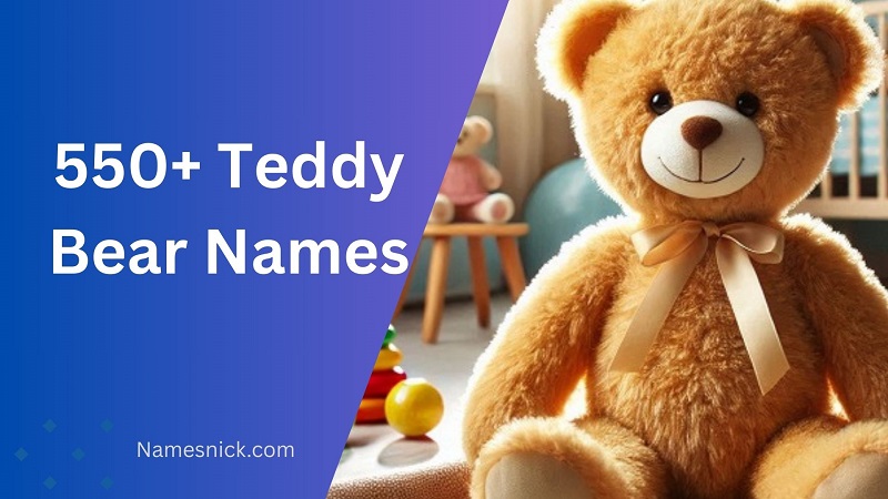 550+ Teddy Bear Names