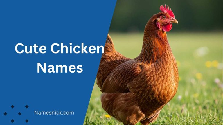 Cute Chicken Names