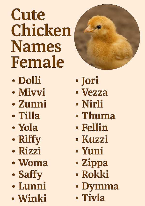 Cute Chicken Names Female