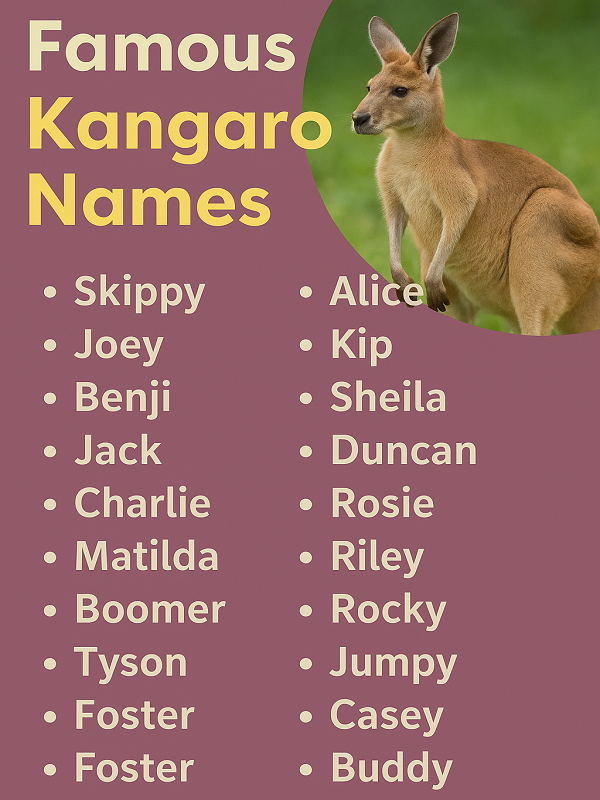Famous Kangaroo Names