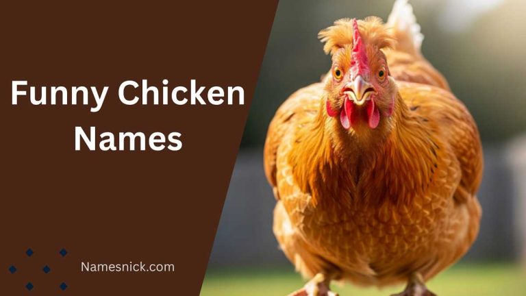 Funny Chicken Names