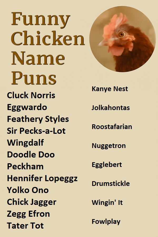 Funny Chicken Names Puns