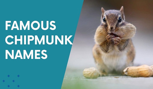 Famous Chipmunk Names