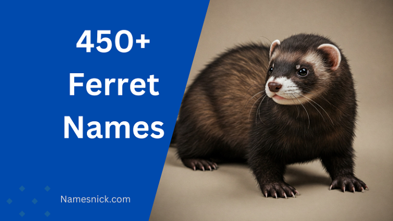 Ferret Names