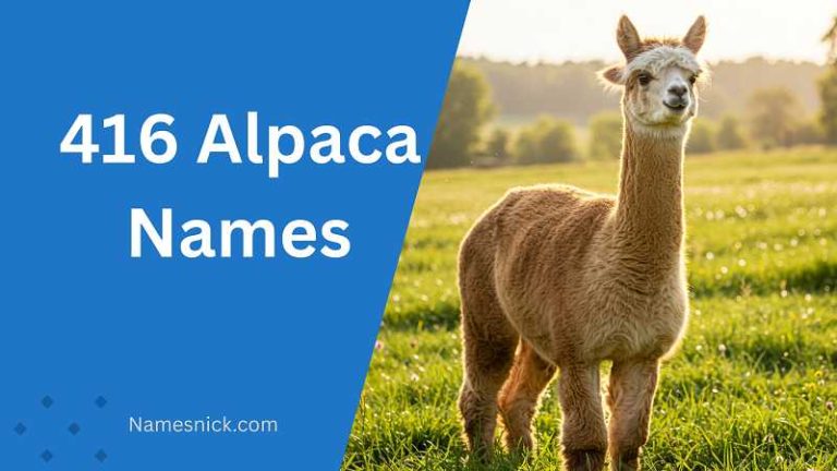 Alpaca Names