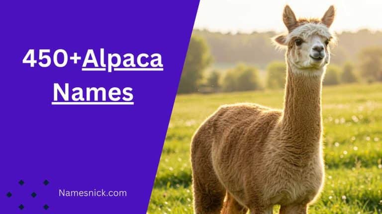 Alpaca Names