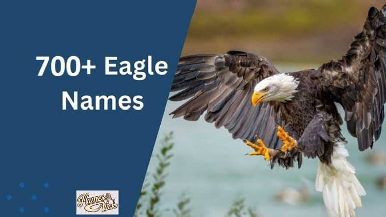 Eagle Names