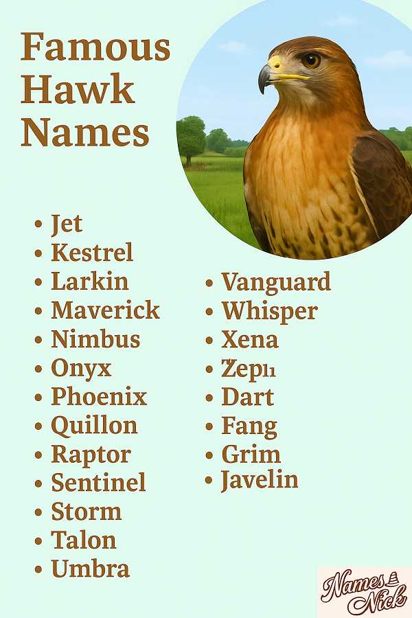 Famous Hawk Names