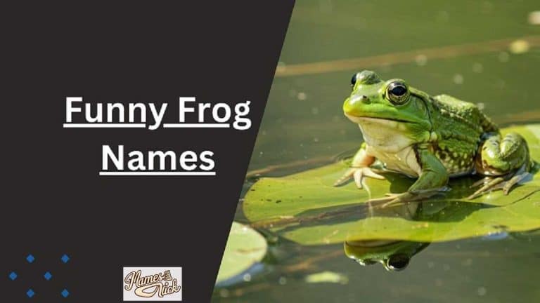 Frog Names