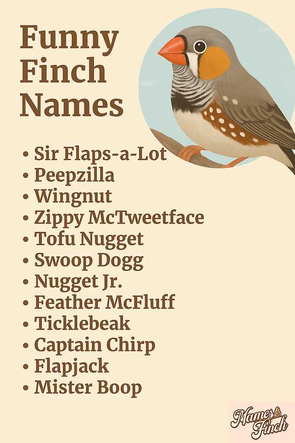 Funny Finch Names