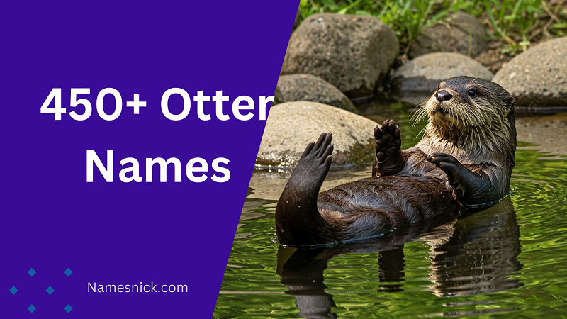 Otter Names