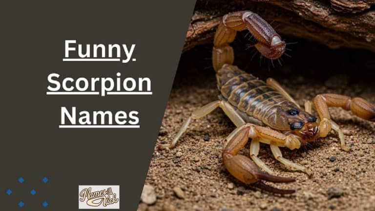 Scorpion Names