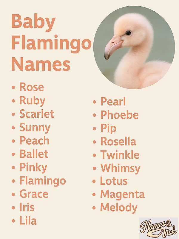 Baby Flamingo Names
