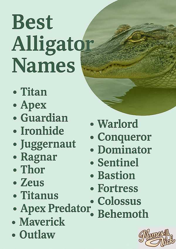 Best Alligator Names