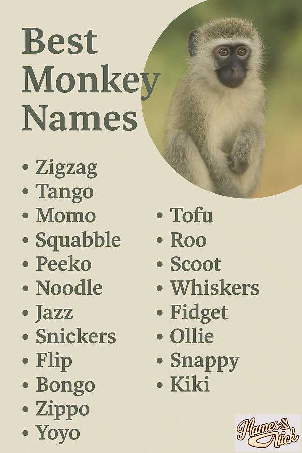 Best Monkey Names
