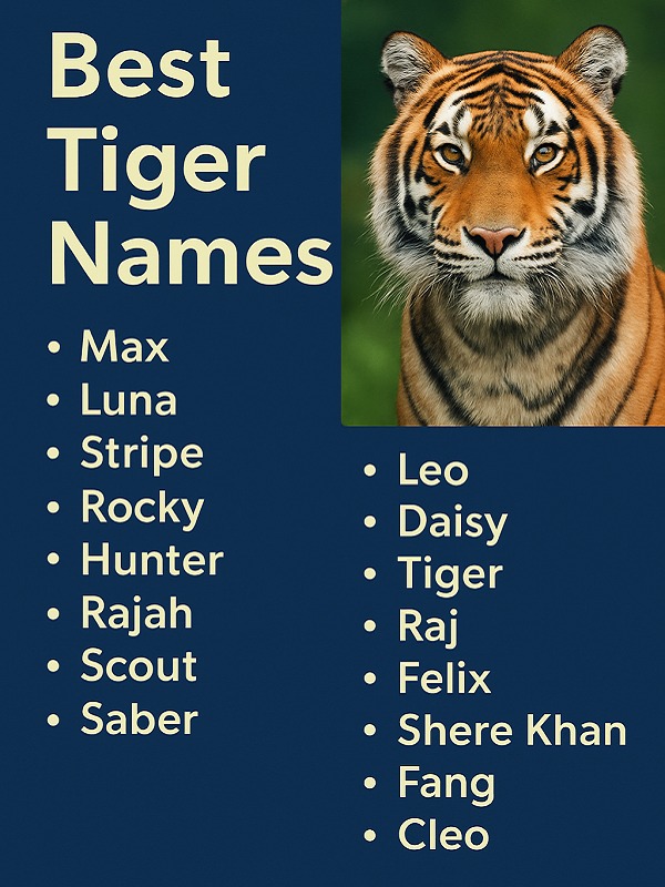 Best Tiger Names
