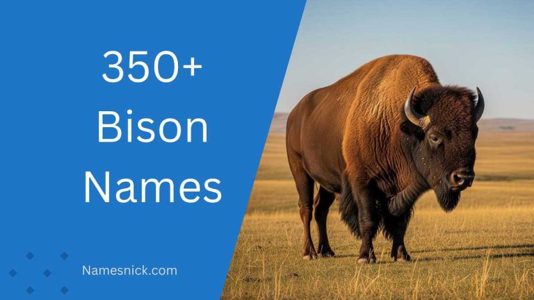 Bison Names