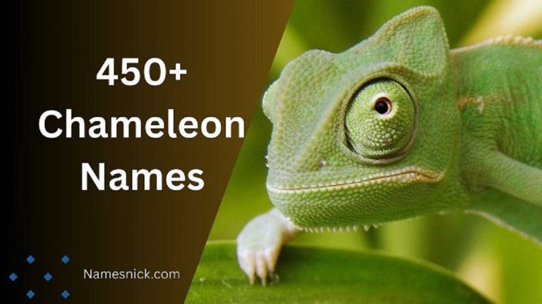 Chameleon Names
