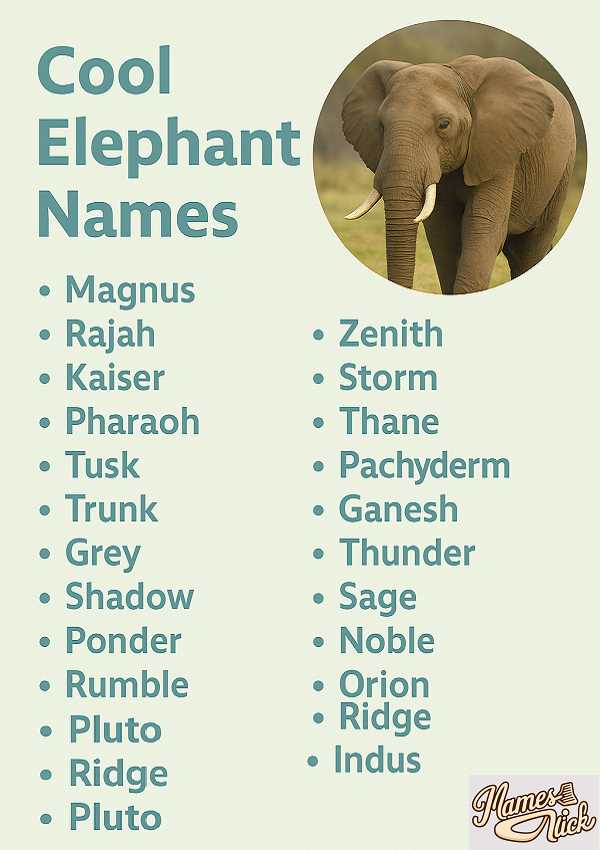 Cool Elephant Names