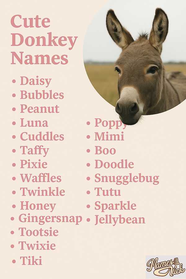 Cute Donkey Names