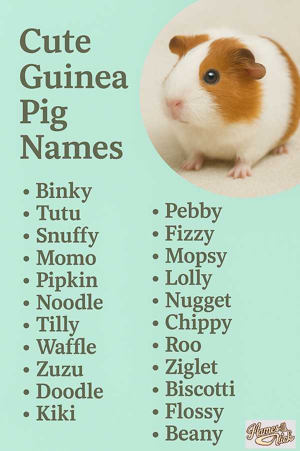 Cute Guinea Pig Names