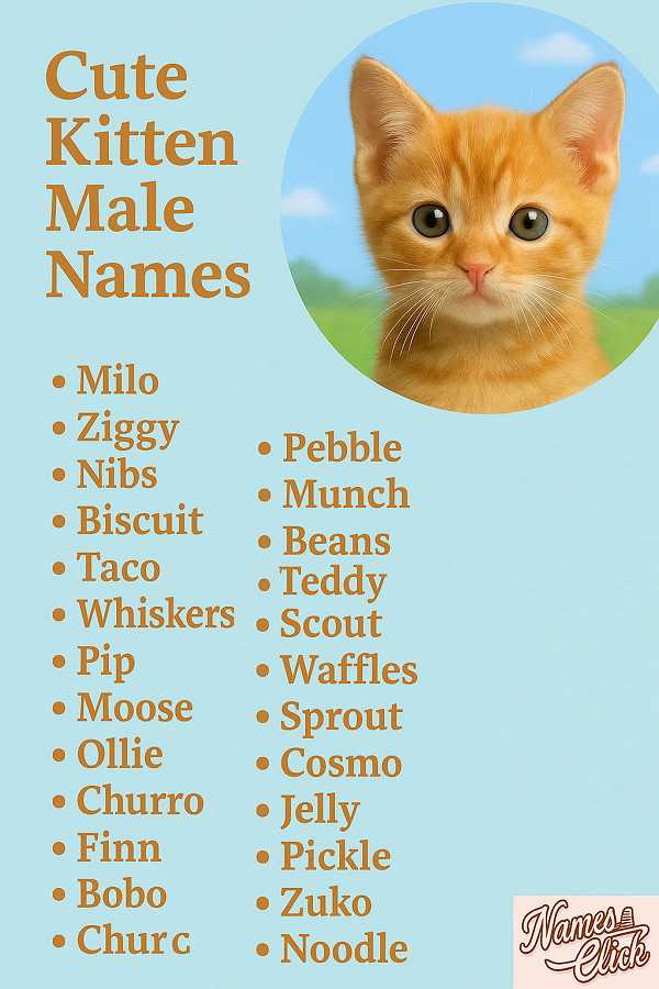 Cute Kitten Male Names