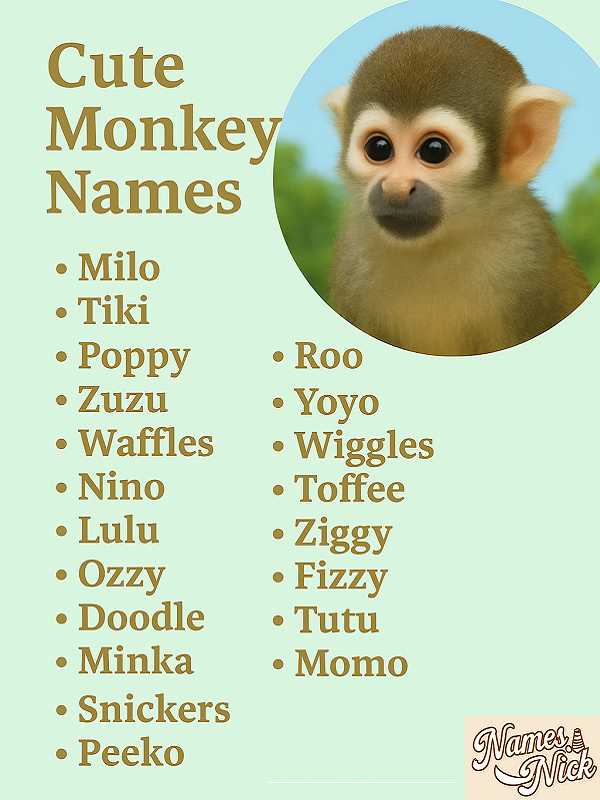 Cute Monkey Names
