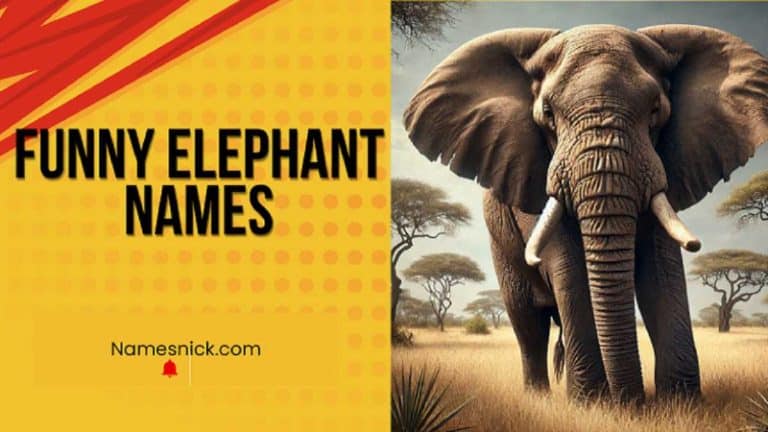 Elephant Names