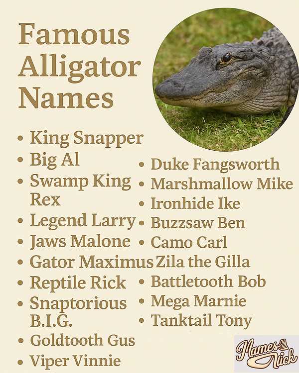 Famous Alligator Names