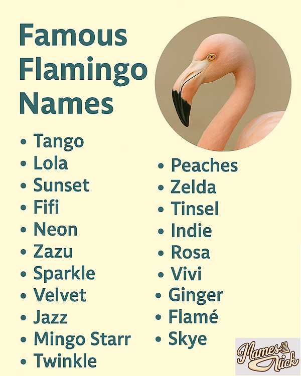 Famous Flamingo Names