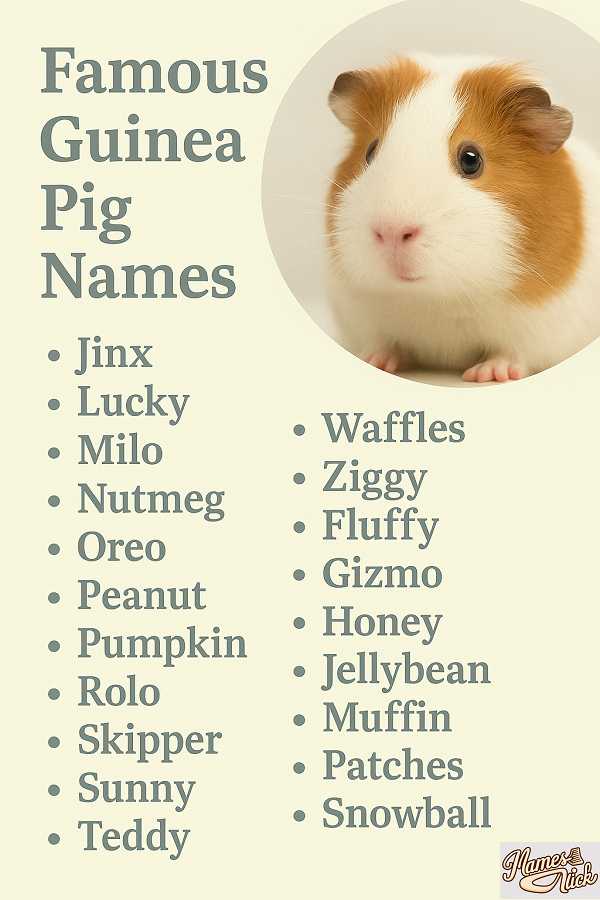 Famous Guinea Pig Names
