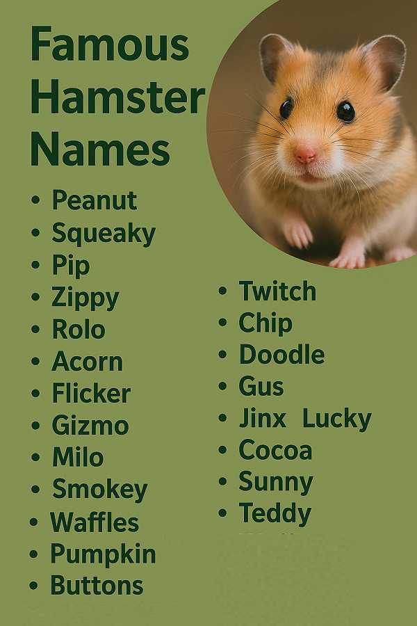 Famous Hamster Names