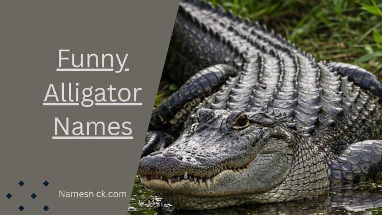 Funny Alligator Names