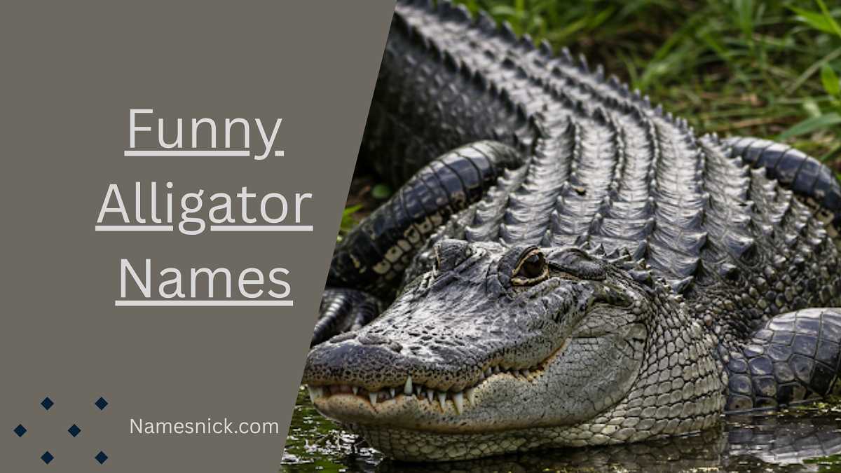 Funny Alligator Names