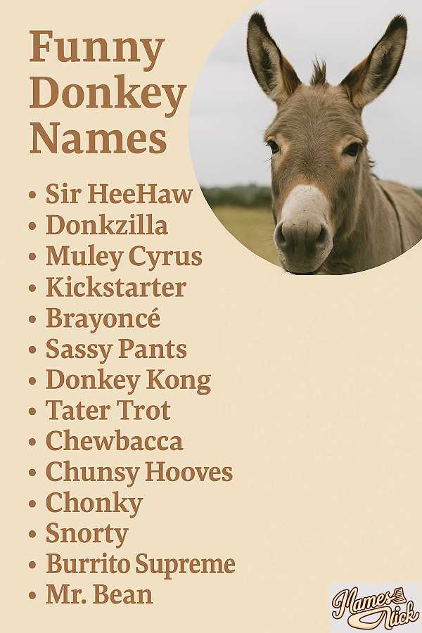 Funny Donkey Names