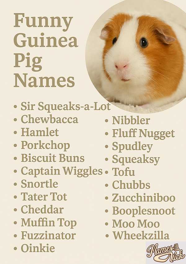 Funny Guinea Pig Names