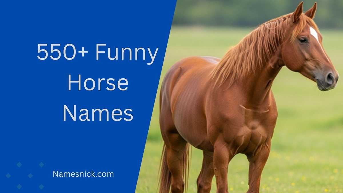 Funny Horse Names