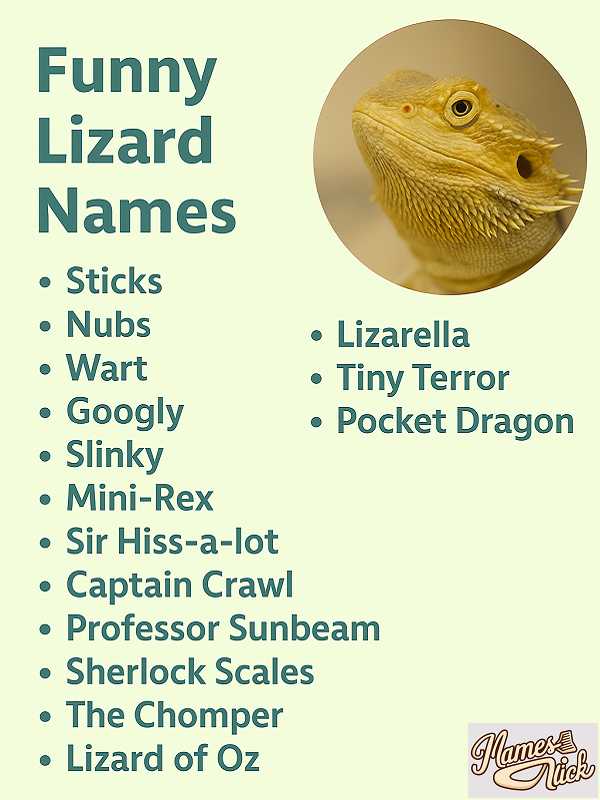 Funny Lizard Names