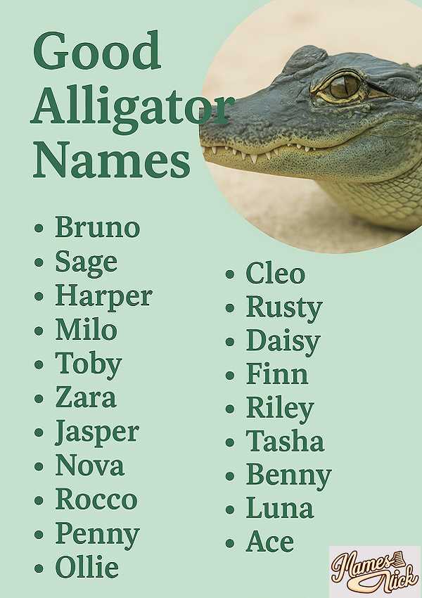 Good Alligator Names