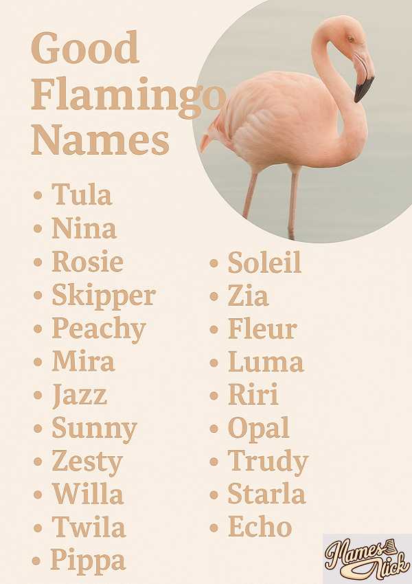 Good Flamingo Names