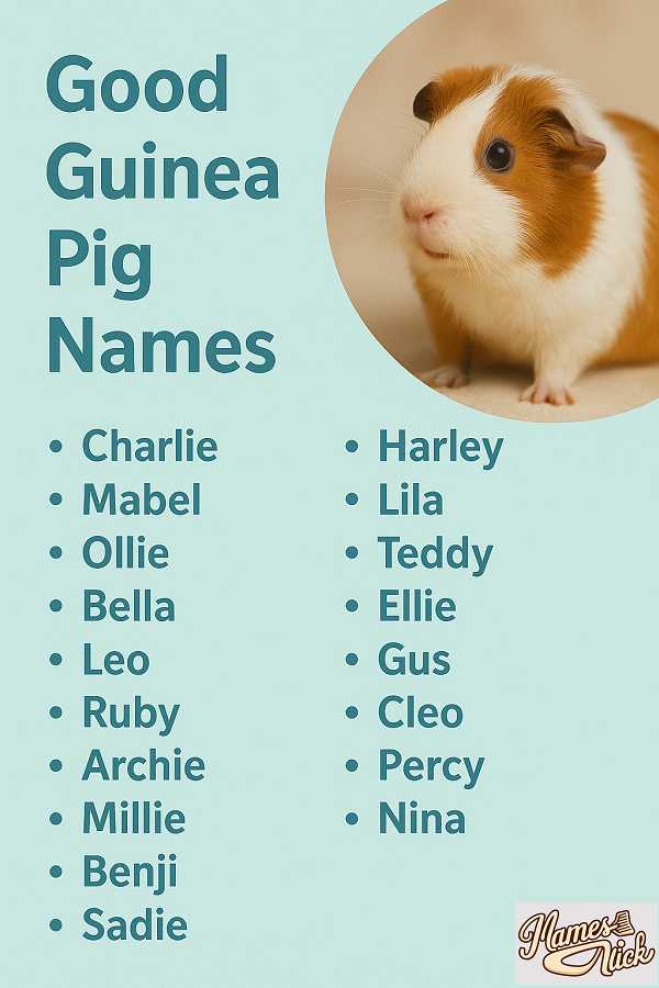 Good Guinea Pig Names