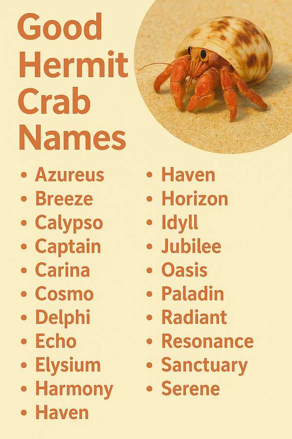 Good Hermit Crab Names