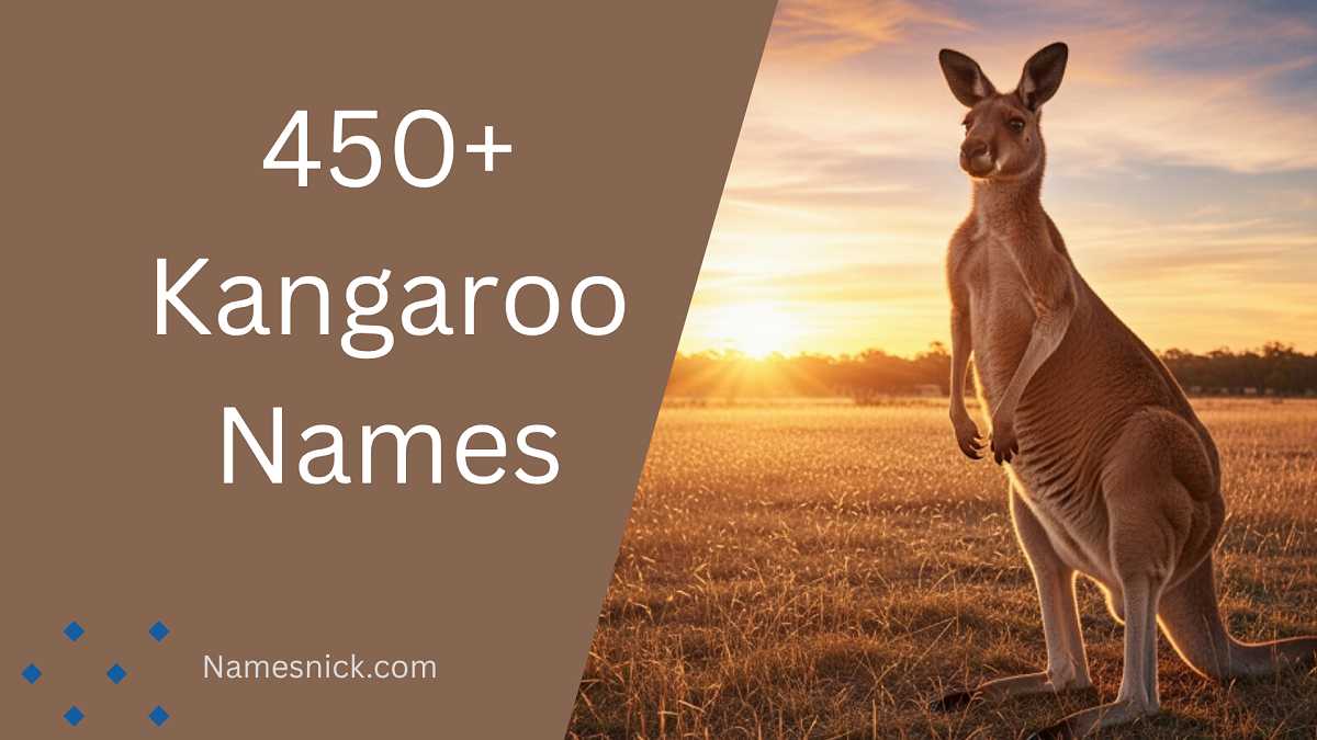 Kangaroo Names