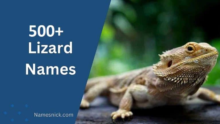 Lizard Names